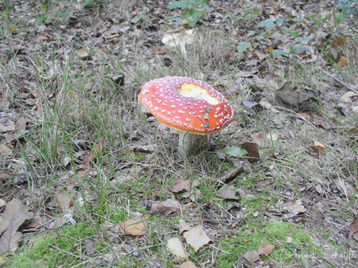 sign1391479_4732916780574_391513458_n