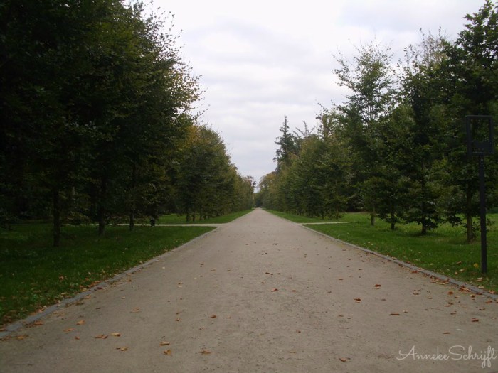 sign558391_4732920020655_223057676_n