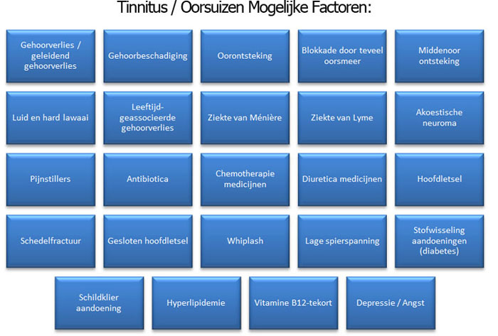 oorsuizen-factoren