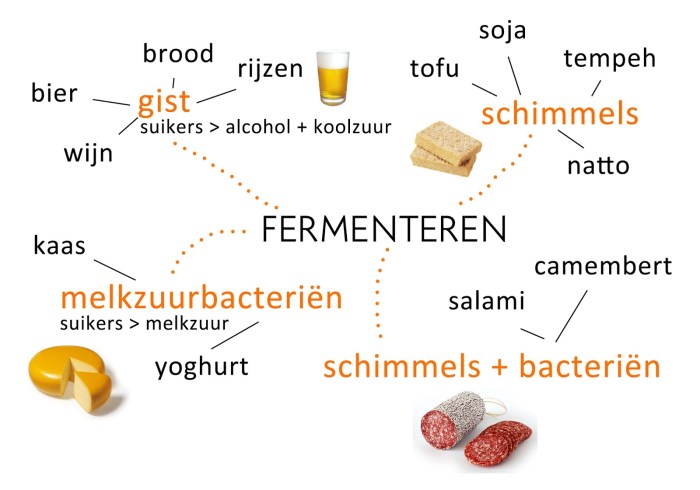 Fermenteren