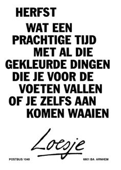 loesje