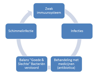 schimmelinfectie-vicieuze-cirkel