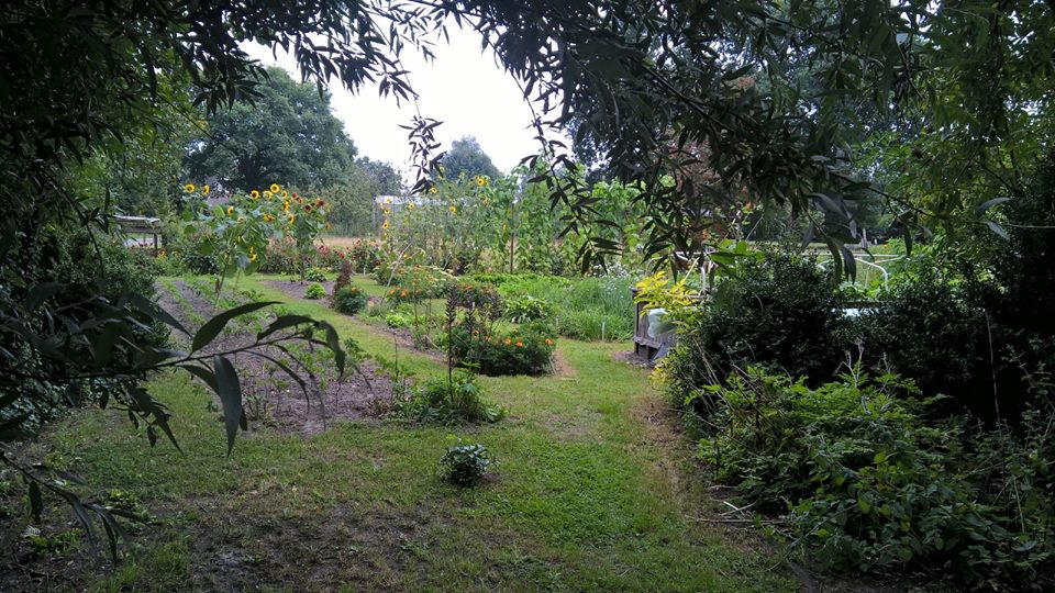 14225582_1158707794250595_2066807212132538377_n (1)